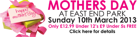 Mothers Day banner 2013