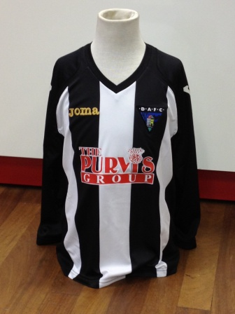 2-4 year old replica  home top - large photo