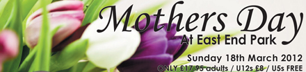 mothers day banner2012